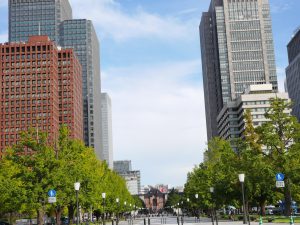 皇居外苑から見る東京駅